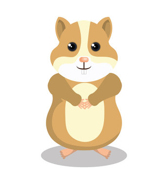 cute hamster mascot isolated icon vector illustration design