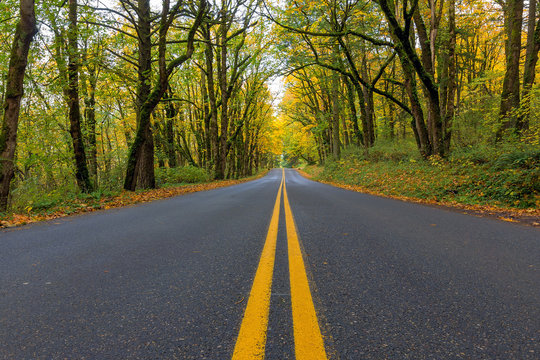 Historic Columbia River Highway Two Way Lanes In Fall