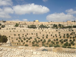 Mount of Olives - Jerusalem