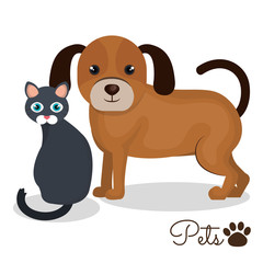 Obraz premium pet mascot isolated icon vector illustration design