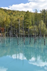 青い池と水面の空