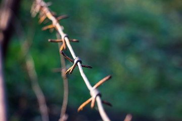 Barbed wire on blurred background. Green field for protection background