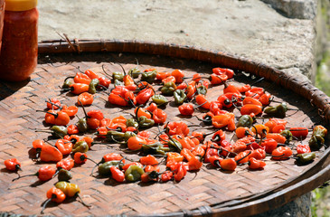 Trekking in the mountains, Nepal. Sun-dried chili peppers. 