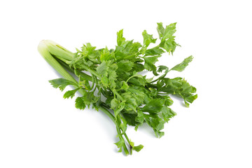 Celery isolated on white background.