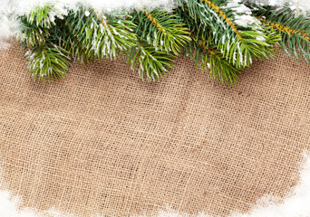 Christmas snow fir tree over burlap texture