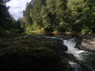 Fototapeta premium waterfall on creek