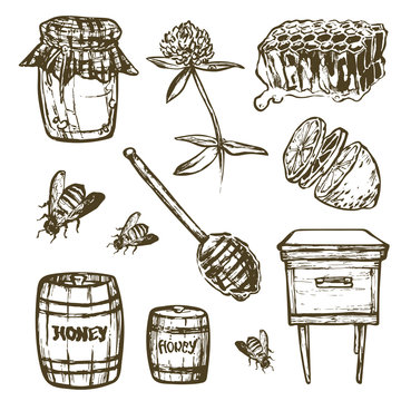 Set with honey elements. Jar, spoon, stick, cells, clover, beehive, bee, lemon, keg.