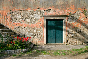 green door n amaryllis