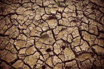 The texture of cracked earth