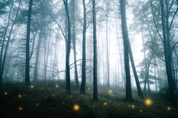 Mystisch dunkler Wald mit glühende Funken auf dem Waldboden