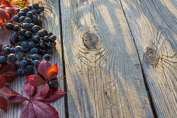 grapes on the table 11