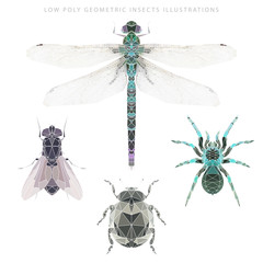 Vector low poly geometric insects illustrations set. Dragonfly, fly, spider and scarab. Ethnics T shirt, apparel, banner, poster graphics design.