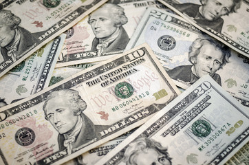 10 and 20 Dollar Bills
