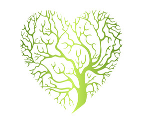 красивое зеленое сердце дерево