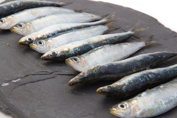 Sardines