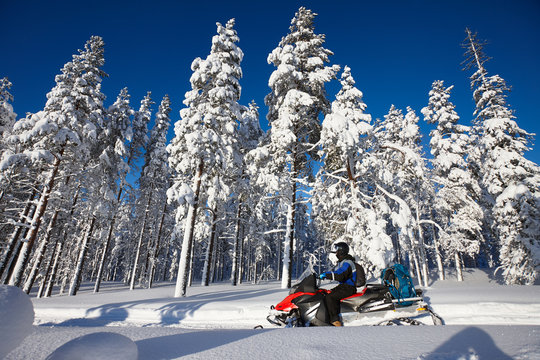 Man driving snowmobile in snowy forest in a sunny day. Lapland, Finland.