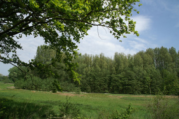 Obraz premium Nordischer Sommer