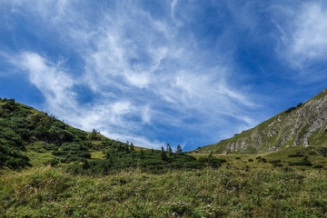 Fototapeta na wymiar Sommer am eisenerzer Reichenstein in den Alpen