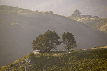 green gulch