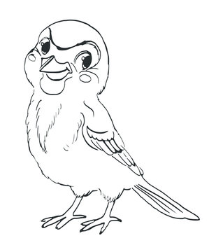 Bird sparrow. Vector sketch characters for coloring