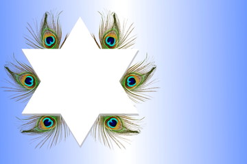 abstract peacock feather texture background