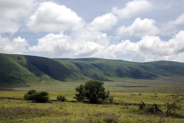 Obraz premium Ngorongoro Crater Conservation Area, Tanzania.East Africa