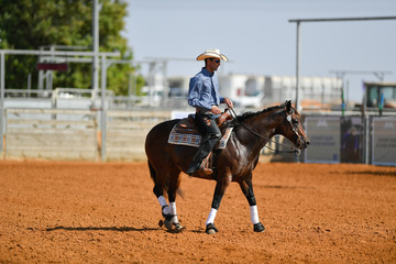 The side view of a rider in cowboy chaps, boots and hat on a horseback performs an exercise during a competition