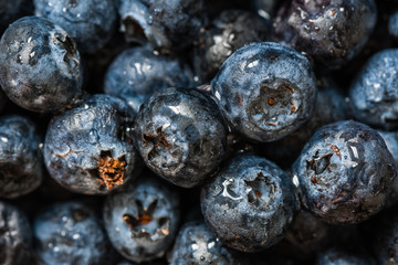 Blueberries with water drops.