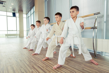 young, beautiful, successful multi ethical kids in karate positi