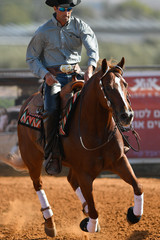 The front view of a rider in cowboy chaps, boots and hat on a horseback running ahead and stopping the horse in the dust.