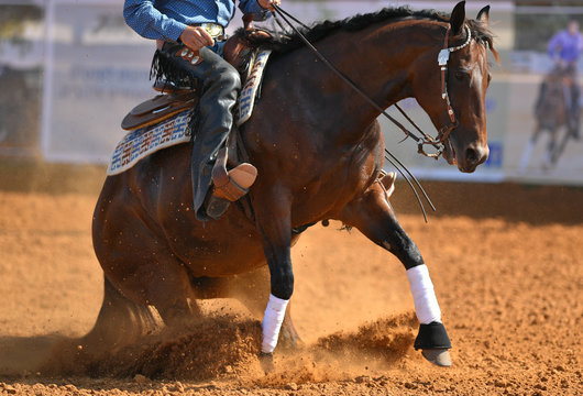 The side view of a rider in cowboy chaps, boots and hat on a horseback running ahead and stopping the horse in the dust.