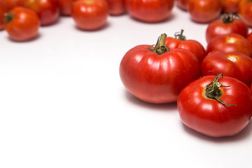 fresh tomatoes on white