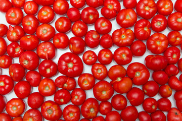 fresh tomato pattern