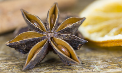 Sternanis © hwieheinrich