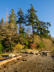 Puget Sound Beach