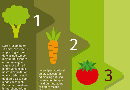 Green And Brown Broccoli Carrot Tomato Eggplant Infographic Template