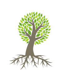 Tree with roots vector
