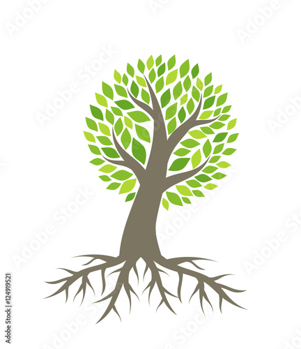 "Tree with roots vector" Stock image and royalty-free vector files on