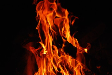 Fototapeta premium пламя на черном фоне/bright fire flames on a black background