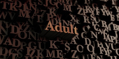 Adult - Wooden 3D rendered letters/message.  Can be used for an online banner ad or a print postcard.
