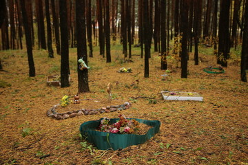 Pet Cemetery in the forest