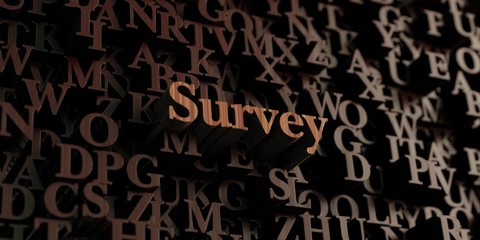 Survey - Wooden 3D rendered letters/message.  Can be used for an online banner ad or a print postcard.