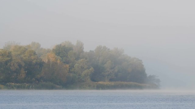 Sunny Day On The Buetiful River