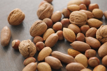 different nuts shell