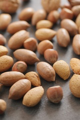 different nuts shell