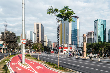 Bike Path in the Streets of Sao Paulo, Brazil (Brasil) - 124925524