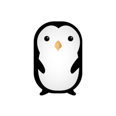 Isolated cute animal
