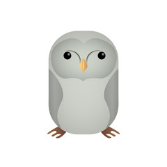 Isolated cute animal