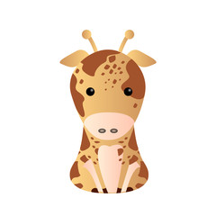 Isolated cute animal