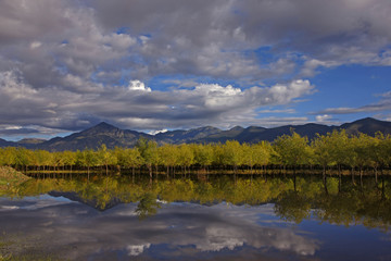 trees reflection mtns n clouds